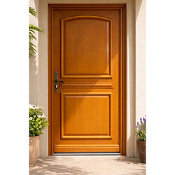 GD Garnier Porte d'entrée bois pleine - H215xL90cm - Droite