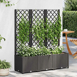 vidaXL Jardinière avec treillis - Noir