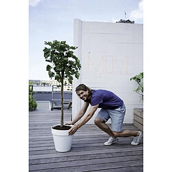 Avis ELHO Pot de fleurs rond avec roues Loft Urban - Ø 50 cm - Gris chaud