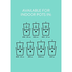 Acheter Elho Self-watering insert - Ø33 cm - Plastique