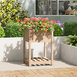 vidaXL Jardinière avec étagère