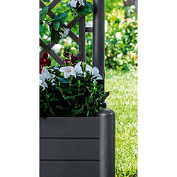 Avis Stefanplast Italia - 30 L - Couleur au choix