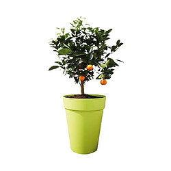 Elho Pot - Gris Polypropylène