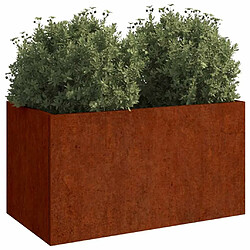 Avis VIDAXL Jardinière - Acier corten rouillé