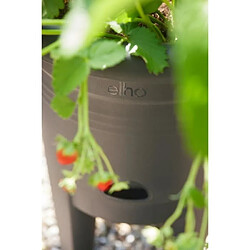 Avis Elho Pot - Noir
