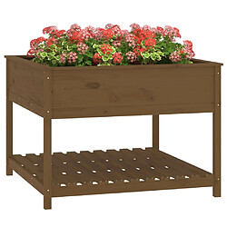 Acheter vidaXL Jardinière - Bois Marron