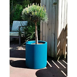 Pots & cache-pots