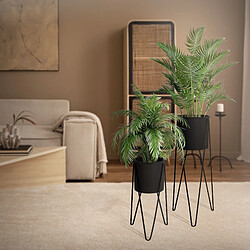 Acheter Support de plantes ML-Design - Noir