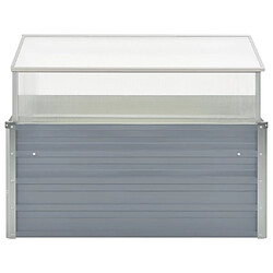 vidaXL Serre Grise 100x100x85 cm