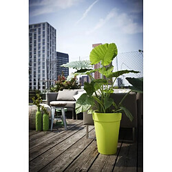 Avis Elho Loft Urban - 34 x 34 cm - Couleur au choix
