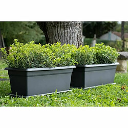 Stefanplast Pot Mediterráneo Anthracite 100 cm