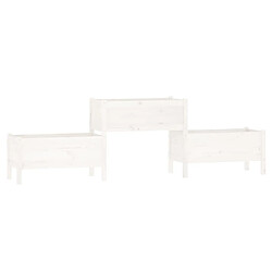 vidaXL Jardinière Bois de pin massif - Blanc