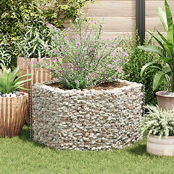 vidaXL Gabion Hexagonal 100x90x50 cm