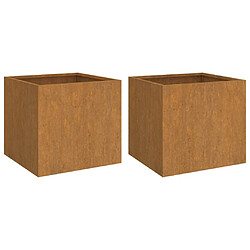vidaXL Jardinières 2 pcs
