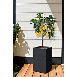 EDA Plastiques EDA Graphit Up Carré Anthracite