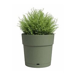 Pots & cache-pots