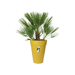 Avis Elho Loft Urban pot haut - Ø34 x 33,5 cm - Jaune