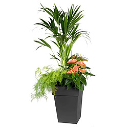 EDA Plastiques Pot Tosacane Noir 51L