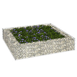 vidaXL Lit surélevé à gabion vidaXL 100x100x20 cm
