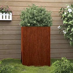 vidaXL Jardinière Acier Corten - 52x48x75 cm