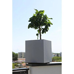 Riviera Bac Granit - Stone