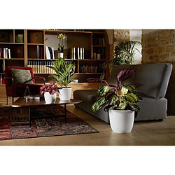 EDA Plastiques Pot EDA Opal Chape - Ø29,5 cm - Blanc