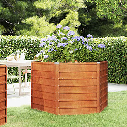 VidaXL Lit de Jardin surélevé - 129x129x77 cm Rouillé