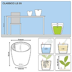 Lechuza Classico LS pas cher