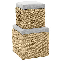 Acheter vidaXL LOT DE 2 - Gris