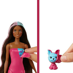 Acheter Barbie coffret Color Reveal licorne fantastique