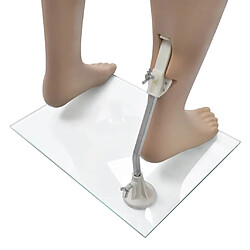 Acheter vidaXL Mannequin Homme Vitrine Sans Tête