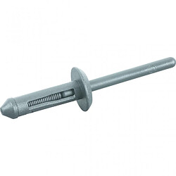 Ks tools Rivets de rechange pour pince