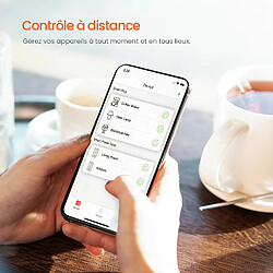 Tenda multiprise connectée WiFi SP15 pas cher