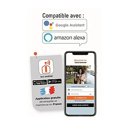 Scs sentinel prise connectée Wi-Fi type E pas cher