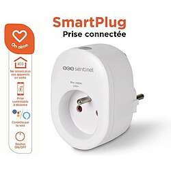 Avis Scs sentinel prise connectée Wi-Fi type E
