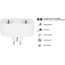 Avis Hombli prise connectée double Wi-Fi