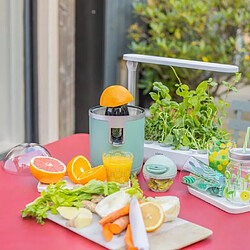 Livoo DOD193 - Menthe