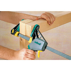 Acheter WOLFCRAFT EHZ Pro 100-150