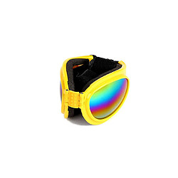 Accessoires chien de chasse