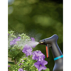 Pulvérisateur à pompe 0.75L