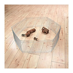 Accessoires chien de chasse