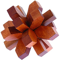 Professor puzzle casse-têtes astronomie