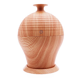 Wewoo Mini humidificateur aromathérapie USB