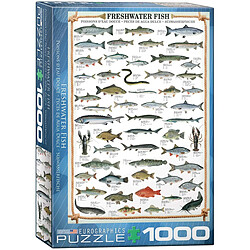 Eurographics Puzzle 1000 pièces Poissons d’eau douce