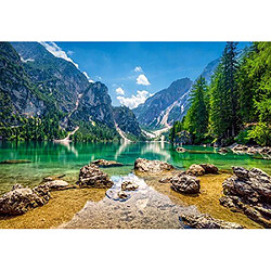Puzzle adulte