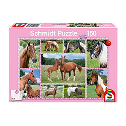 Avis Puzzle chevaux 150 pièces Schmidt