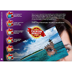 Acheter Schmidt spiele puzzle Secret Office - 1000 pièces