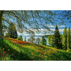 Acheter Schmidt spiele puzzle adulte 1000 pièces