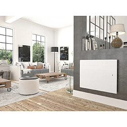 Avis Thermor Ovation 3 - 1000 W