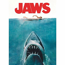 Acheter Clementoni puzzle Les Dents de la Mer